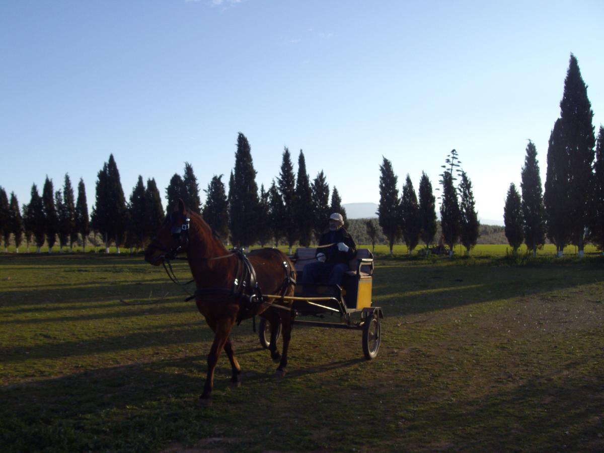 Cortijo Ferradores Humilladero ภายนอก รูปภาพ
