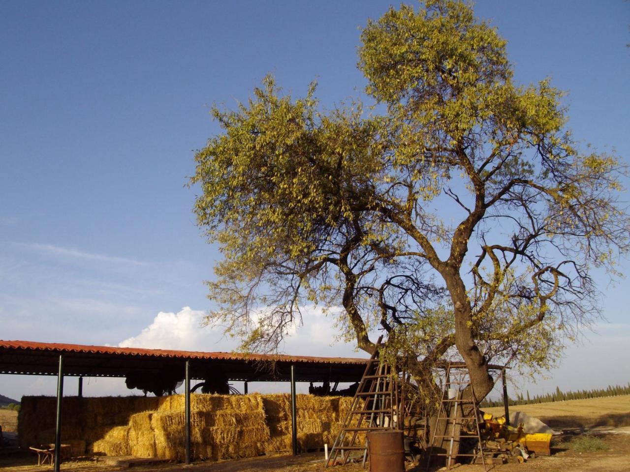 Cortijo Ferradores Humilladero ภายนอก รูปภาพ