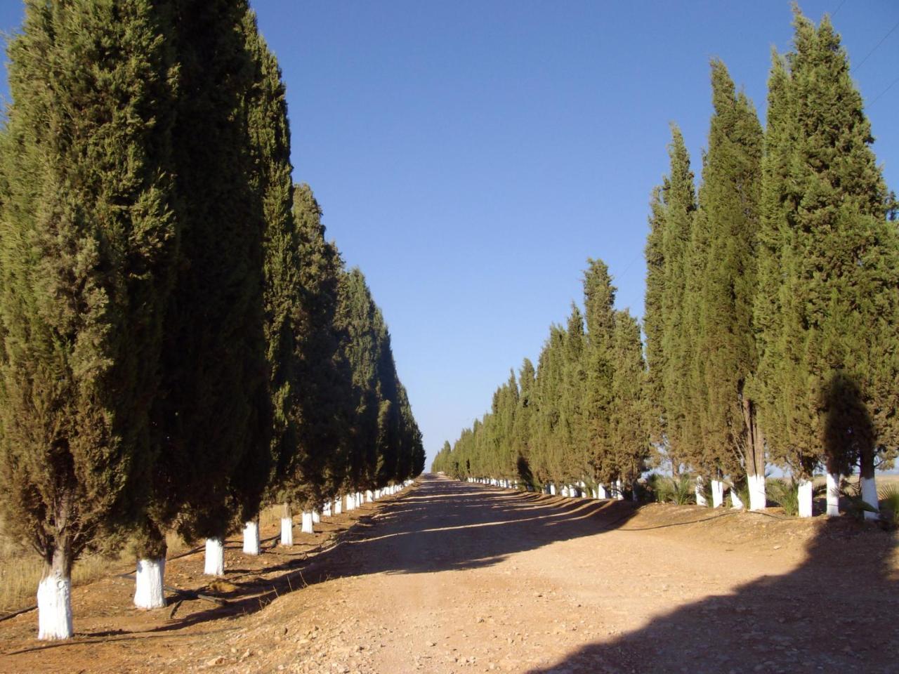 Cortijo Ferradores Humilladero ภายนอก รูปภาพ