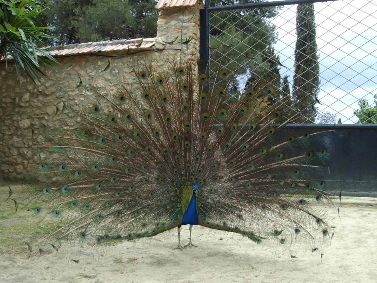 Cortijo Ferradores Humilladero ภายนอก รูปภาพ