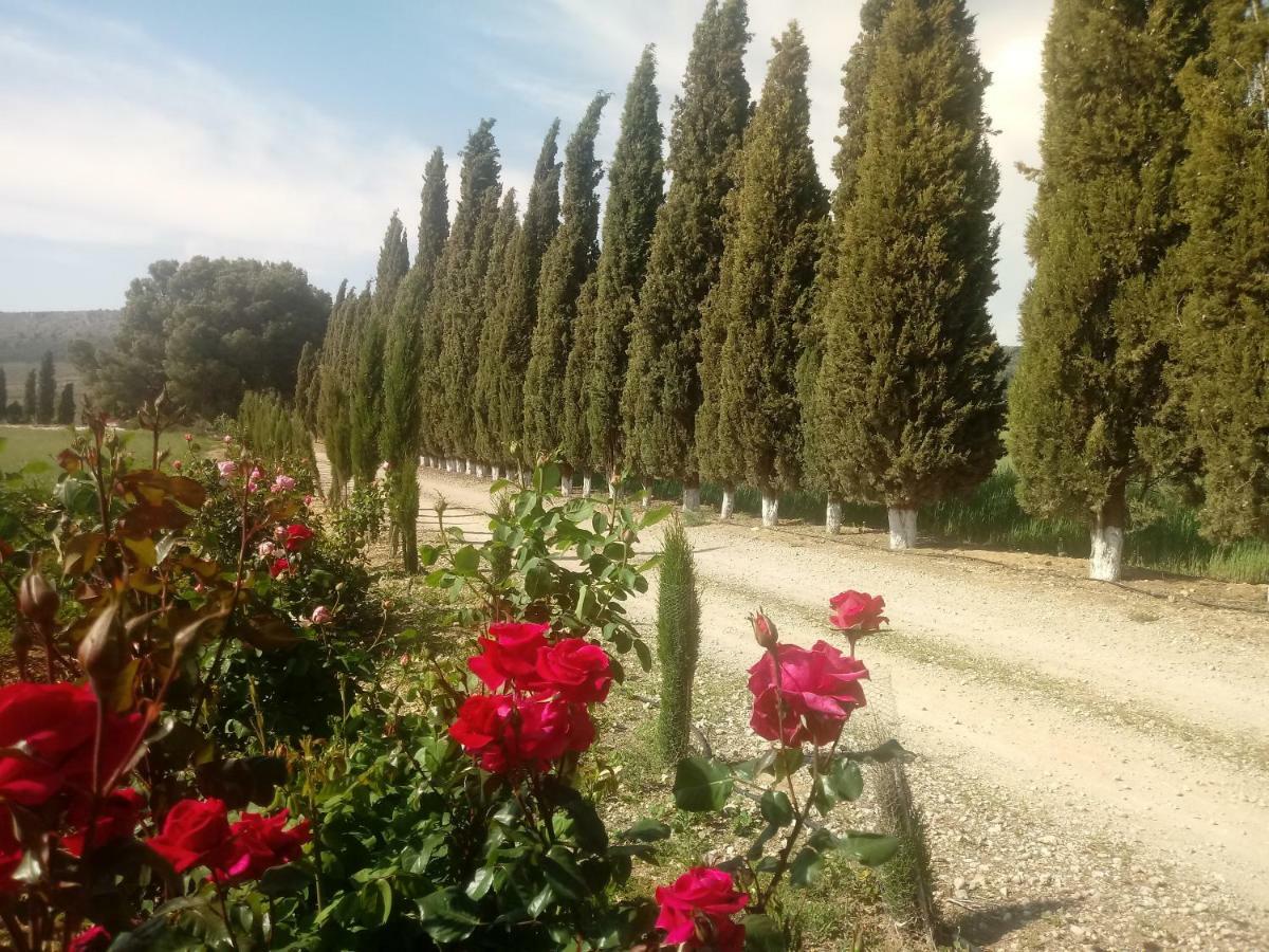 Cortijo Ferradores Humilladero ภายนอก รูปภาพ